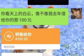 吉林如果欠债的人消失了怎么查找，专业讨债公司的找人方法